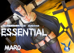 Essential 4 Kaiketsu Hen