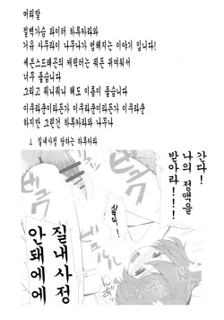(C76) [IEHOY'S (Amayu)] Rushe Zoku ni xx Suruhon (7th Dragon) [Korean] [ISUKA] page 3