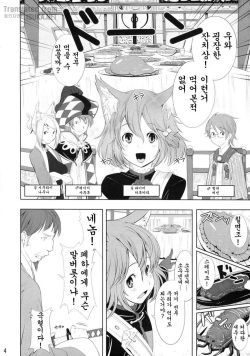 (C76) [IEHOY'S (Amayu)] Rushe Zoku ni xx Suruhon (7th Dragon) [Korean] [ISUKA] page 4