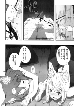 (C76) [IEHOY'S (Amayu)] Rushe Zoku ni xx Suruhon (7th Dragon) [Korean] [ISUKA] page 8