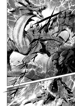 (C87) [FOOLISH FACTORY (hPa)] INCERTri (Monster Hunter) [Korean] [TeamHumanTrash] page 9