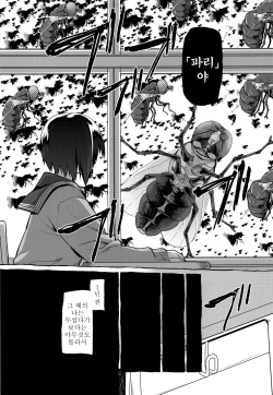 (C87) [KashiNoKi (Midori No Rupe)] Uchuujin no Fuyu [Korean] [GingerAle] page 10