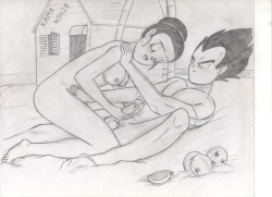 chichi and vegeta, misato and shinji, hero and jessica, inuyasha and kogome, akane and ryoga gifs page 4
