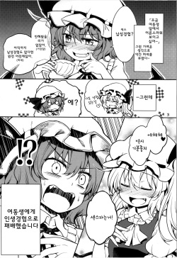 (C87) [Area-S (Dra)] Remilia Ojou-sama ni Ikenai Koto Suru Hon (Touhou Project) [Korean] [WestVatican] page 3