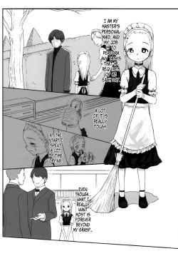 (COMITIA100) [Rinjuu Circus (Haguhagu)] Alice Complex [English] [B.E.C. Scans] page 3
