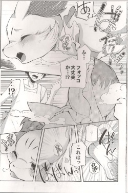 (C86) [Dogear (Inumimi Moeta)] Roman de Renart 2 (Pokémon X and Y) page 9