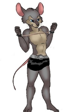 Anthro MIce