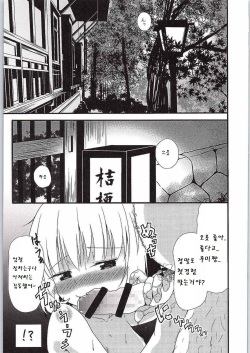 (Kouroumu 10) [Wasshoi Koubou (Hayami Sakura)] Watashi no Unmei (Touhou Project) [Korean] [팀 남성부] page 3