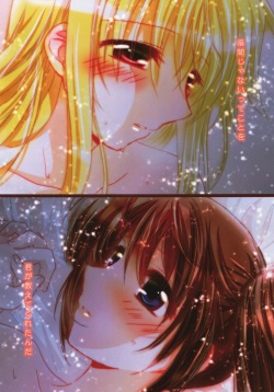 (C87) [Ameiro (Nanashiki)] Starry Night (Mahou Shoujo Lyrical Nanoha) page 3