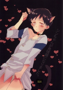 (HaruCC18) [Mm. (Moto)] Shin-chan ga Hatsujouki ni Narimashita. (Neon Genesis Evangelion) page 1